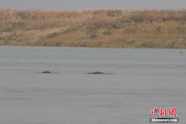 Subverse酒吧场景怎么解锁