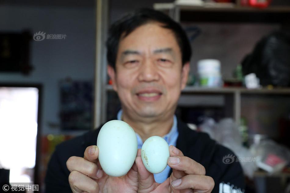 Dinkum狗狗可以养吗