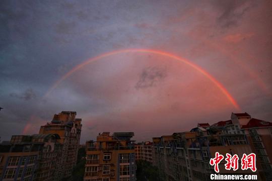 幽灵线东京第三章不能打电话怎么办