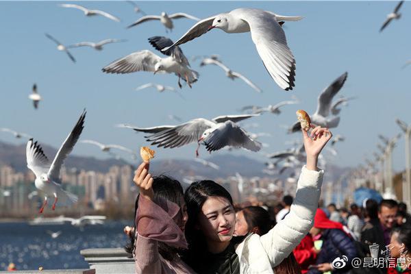 仙剑奇侠传7丢存档怎么解决